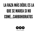 CETOSIS, INVIERNO Y ALIMENTACIÓN ESTACIONAL
